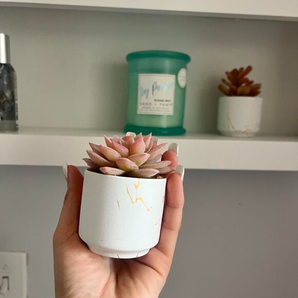 Plants Office Decor Bathroom Decor Desk Home Decoration Artificial Plant - Picture 8 of 9